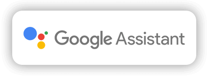 google assistance